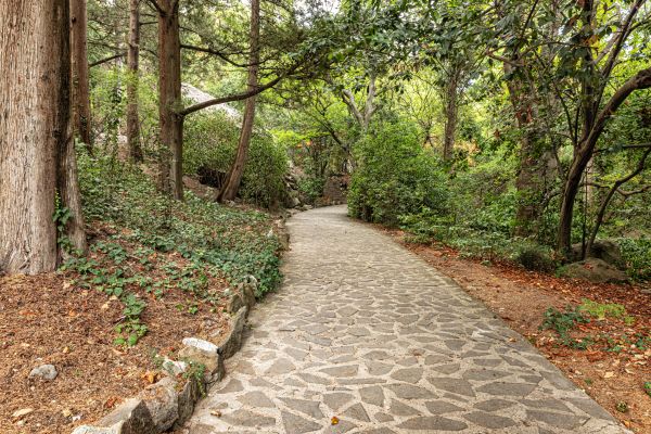 Stone Walkway Repair in Elyria