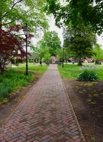 Brick Pathway Repair in Elyria