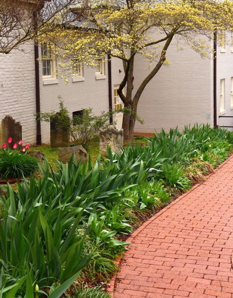 Brick Flatwork Repair in Elyria